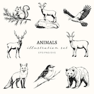 Wildlife dieren vector clipart set, bos dierenillustraties, bos herten, vos, beer, digitale SVG, commercieel gebruik, ambachten png/kerst
