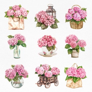 Hydrangea Flower Clipart-hydrangea in Vase Watercolor Illustration-pink ...