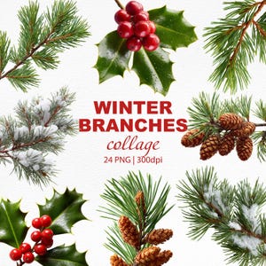 May include: A collage of winter branches featuring pine needles, holly with red berries, and pine cones. The text "WINTER BRANCHES collage" is displayed in red. The image is labeled as 24 PNG at 300dpi.