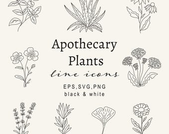 Botanical Apothecary Line Art icons, Herbal Plants Clipart Set SVG, Natural Medicine Illustration, Digital Herb PNG, Alternative Medicine