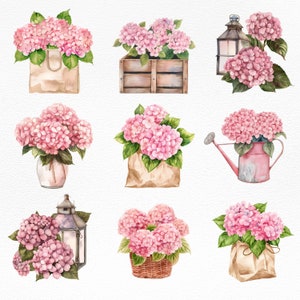 Peut inclure: Neuf illustrations à l'aquarelle de fleurs d'hortensias roses dans des arrangements variés. Les fleurs sont présentées dans une variété de contenants, notamment une caisse en bois, un sac en papier brun, un vase en verre, un arrosoir et un panier en osier. Certaines fleurs sont également présentées avec des éléments décoratifs, tels qu'une lanterne et une guirlande lumineuse.