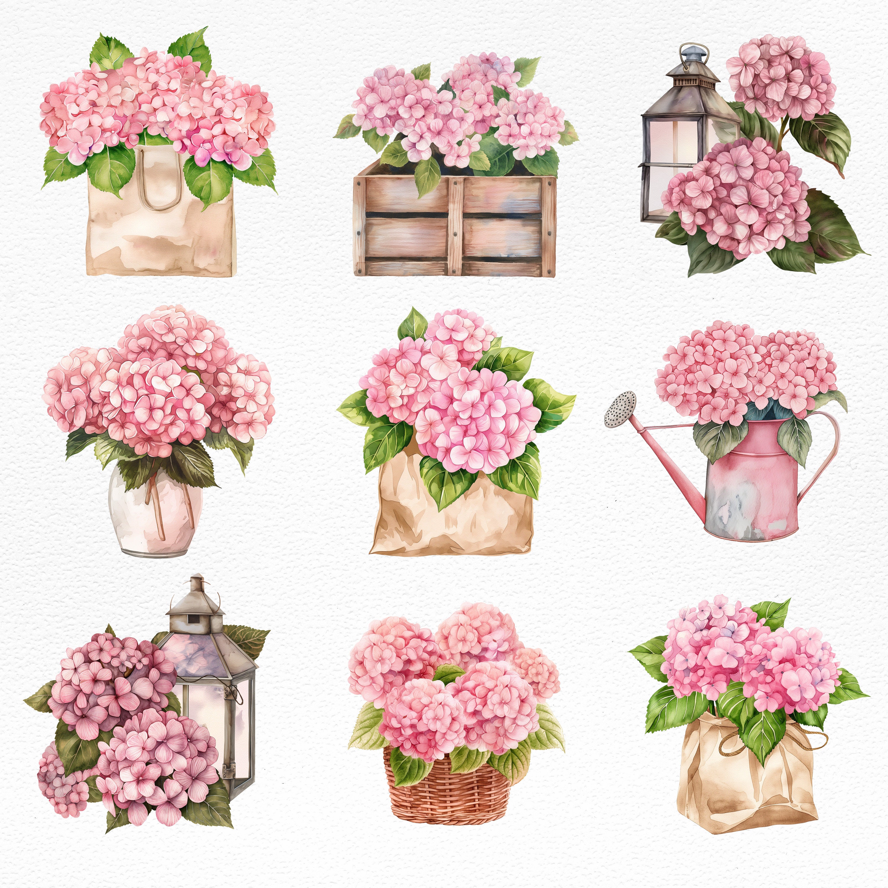 Hydrangea Flower Clipart-hydrangea in Vase Watercolor Illustration-pink ...