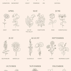 Birth month flower set/Birth month flowers PNG/Birthmonth flower SVG/Flower illustrations/Botanical clipart/Birth Flower/Line drawing/Floral image 2