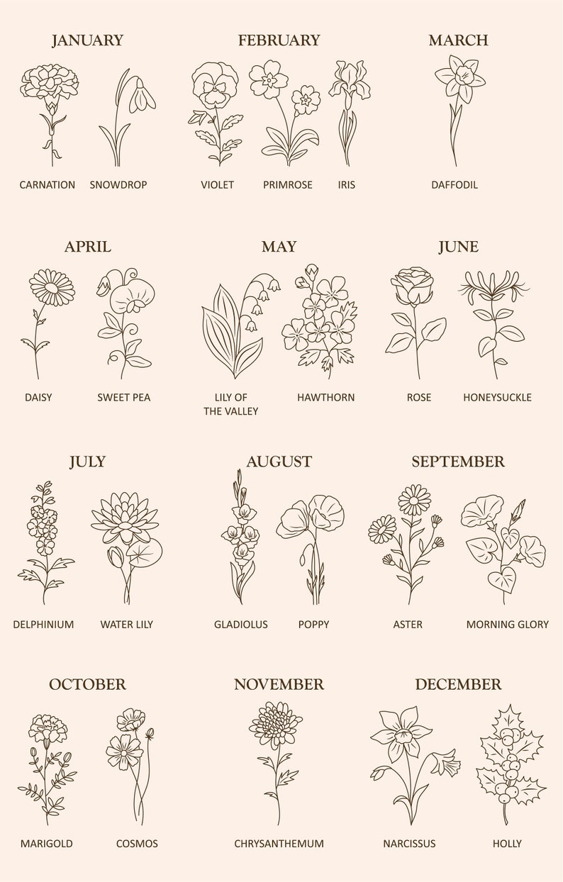 Birth month flower set/Birth month flowers PNG/Birthmonth flower SVG/Flower illustrations/Botanical clipart/Birth Flower/Line drawing/Floral image 2