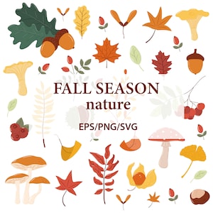 Herfst seizoen illustratie set/herfst clipart/oogstseizoen/herfstbladeren SVG/herfst takken PNG/natuur/kastanje/herfst bos/paddenstoel/Acorn