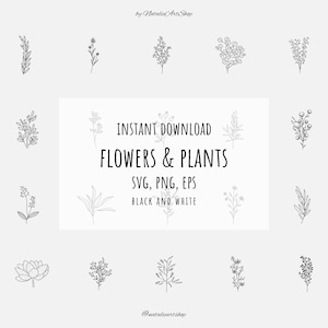 Fleurs dessinées à la main Ensemble PNG-Fleurs Vector-Floral ornement SVG-Botanical Clipart-Wedding plants-Flower icons-Line illustration-Outline-Leaves