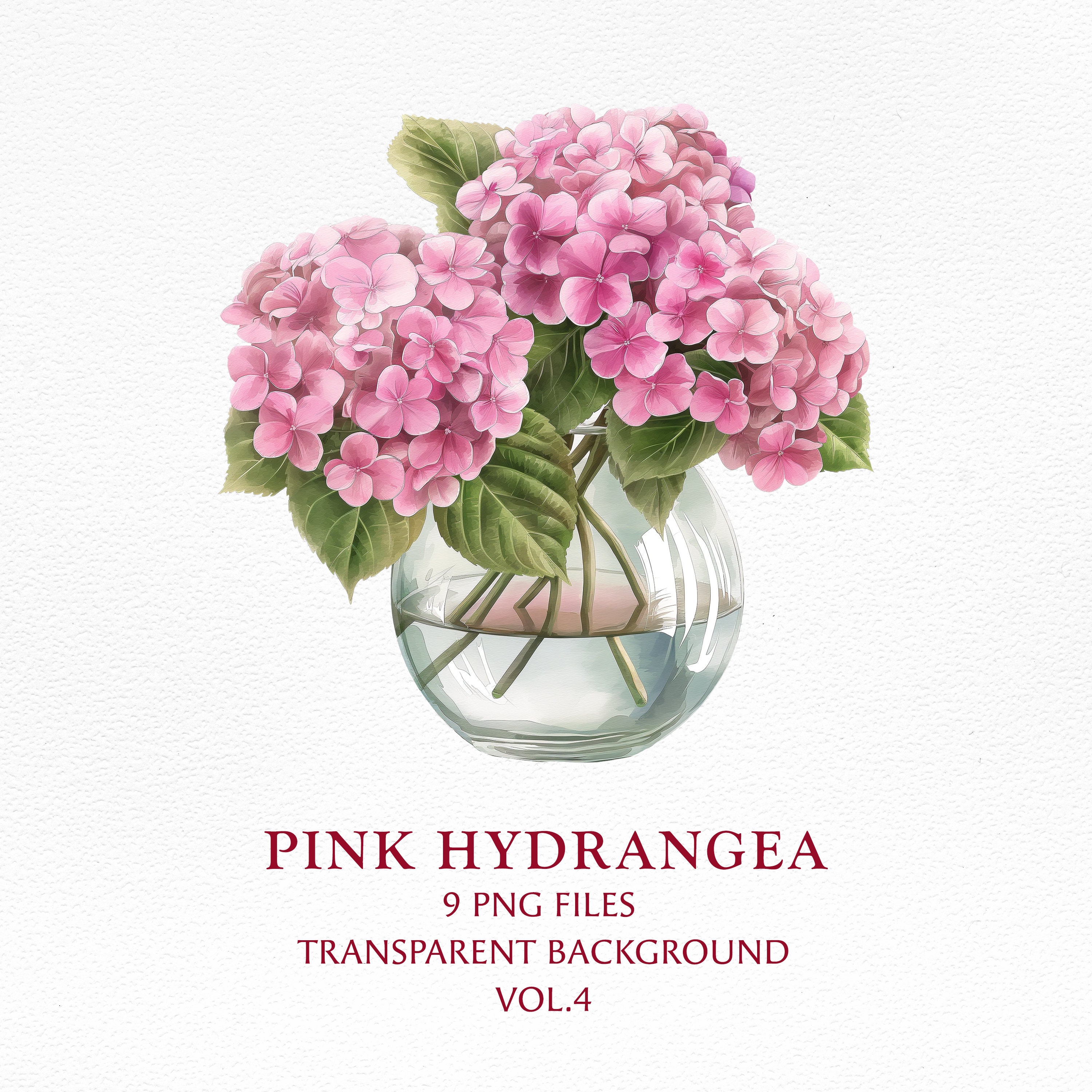 Hydrangea Flower Clipart-hydrangea in Vase Watercolor Illustration-pink ...