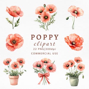 Ensemble de cliparts pavot aquarelle PNG, Illustrations florales, bouquets de fleurs rouges, feuilles pour travaux manuels, invitations et impressions, fichier pour sublimation