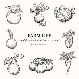 Illustration de ferme dessinée à la main Style ferme rustique Clipart-agriculture jardinage clipart-légumes icônes-fruit-cour de ferme fichier vectoriel SVG