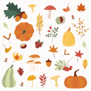May include: A collection of autumn-themed illustrations, including pumpkins, leaves, acorns, mushrooms, and berries. The illustrations are in various shades of orange, yellow, red, and brown.