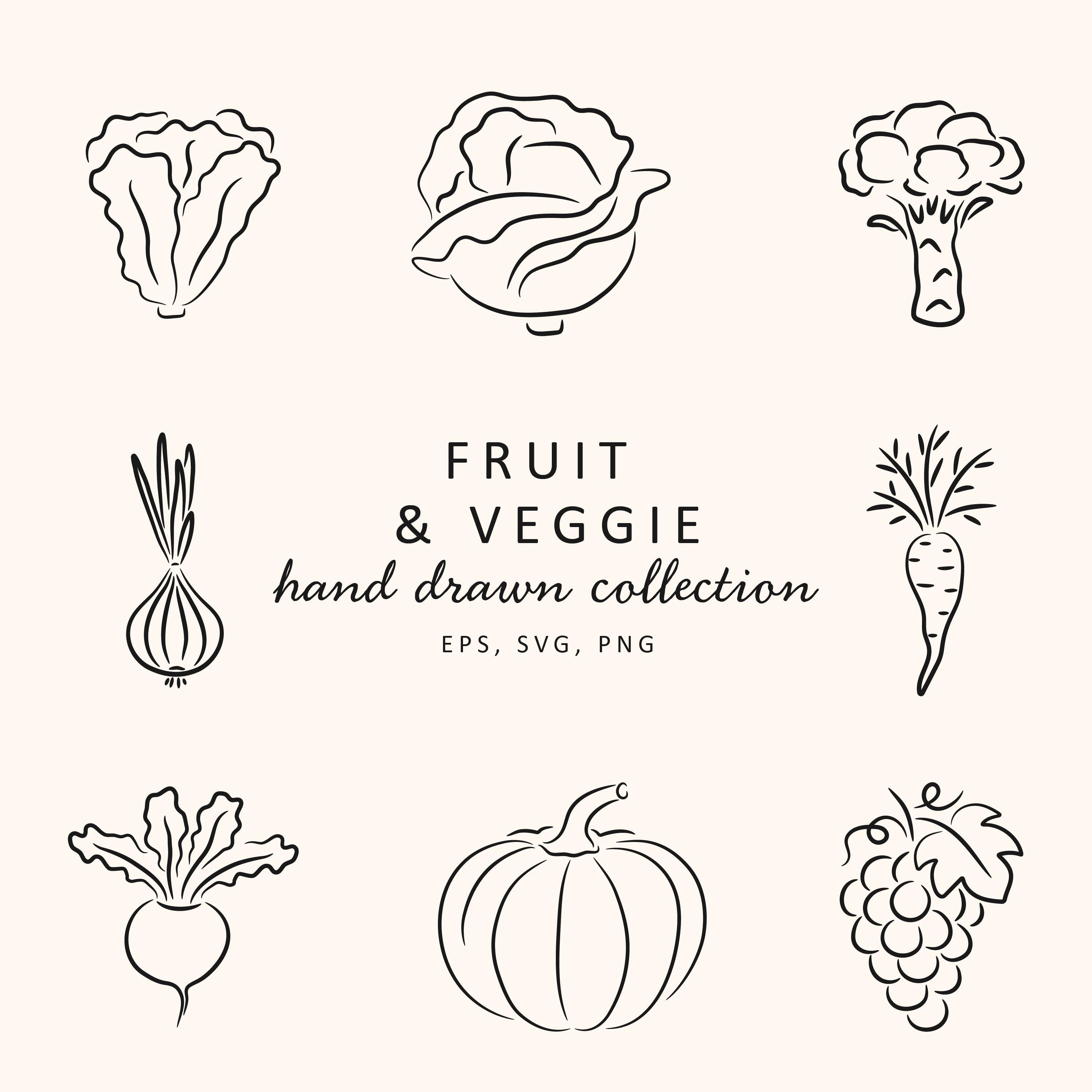Fruit and Vegetable Line Art Bundle, Farm Produce Clipart PNG, Hand drawn  Organic Food Illustrations, Kitchen Decor, Coloring Pages, Farm, image size:3000x3000
