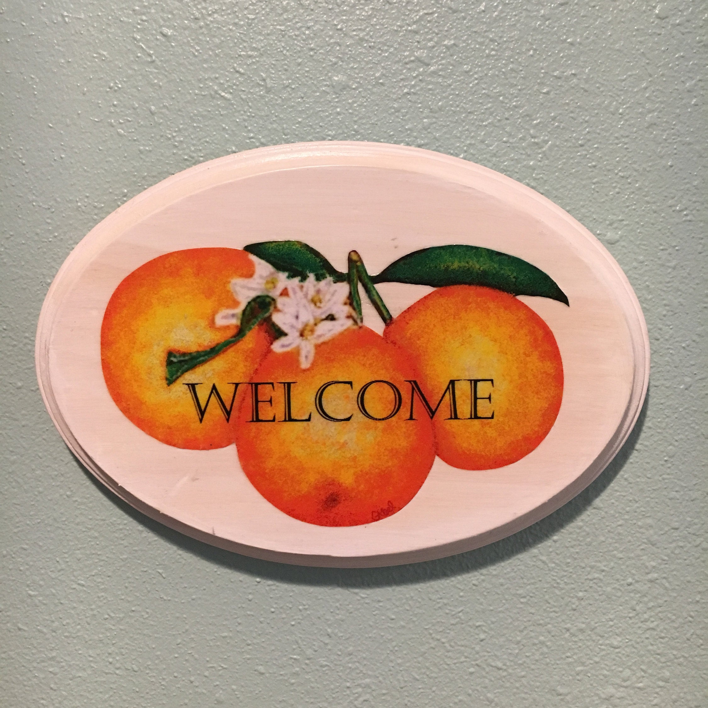 Signs Dunedin Orange Designs Custom Business Etsy