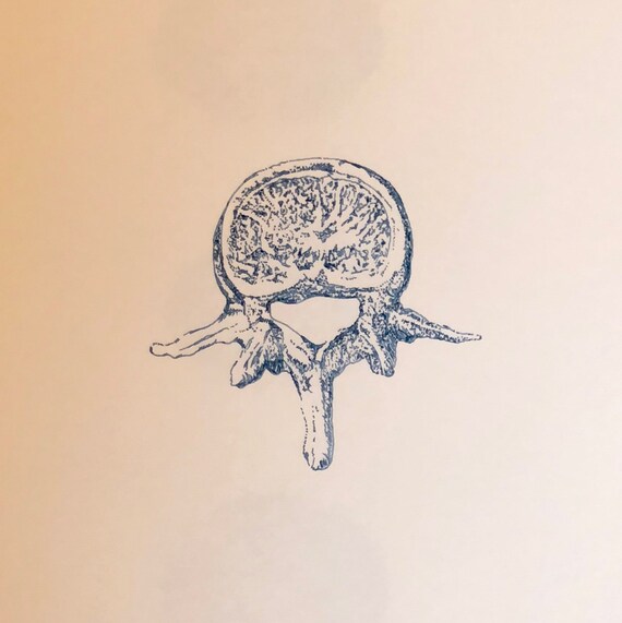 Rysunek Anatomiczny Rysunek Człowieka Kości Anatomia Sztuki Rysunek Medyczny Rysunek Szkielet Szkic Ołówkiem Rysunek Odręczny Szkic Ink