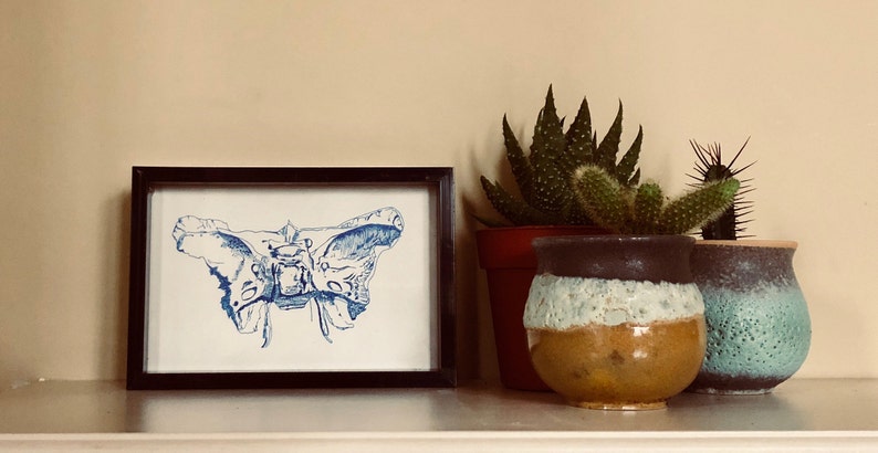 Human Skull Drawing Anatomical Drawing Anatomy Art Skull Etsy