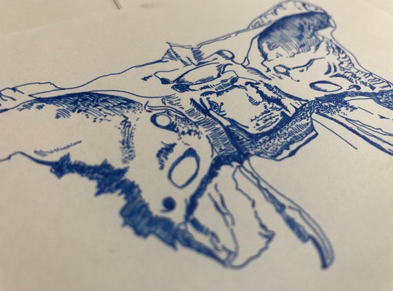 Human Skull Drawing Anatomical Drawing Anatomy Art Skull Etsy