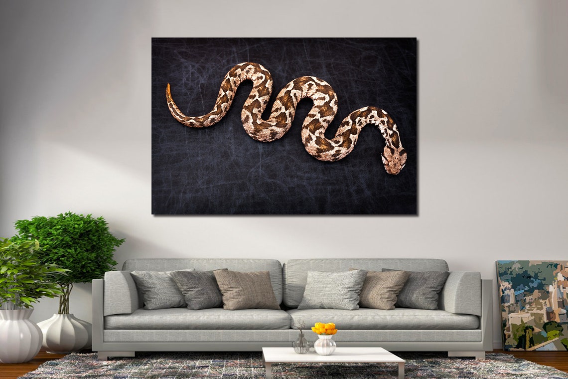 Snake wall art Snake canvas art Snake wall decor Reptiles wall | Etsy
