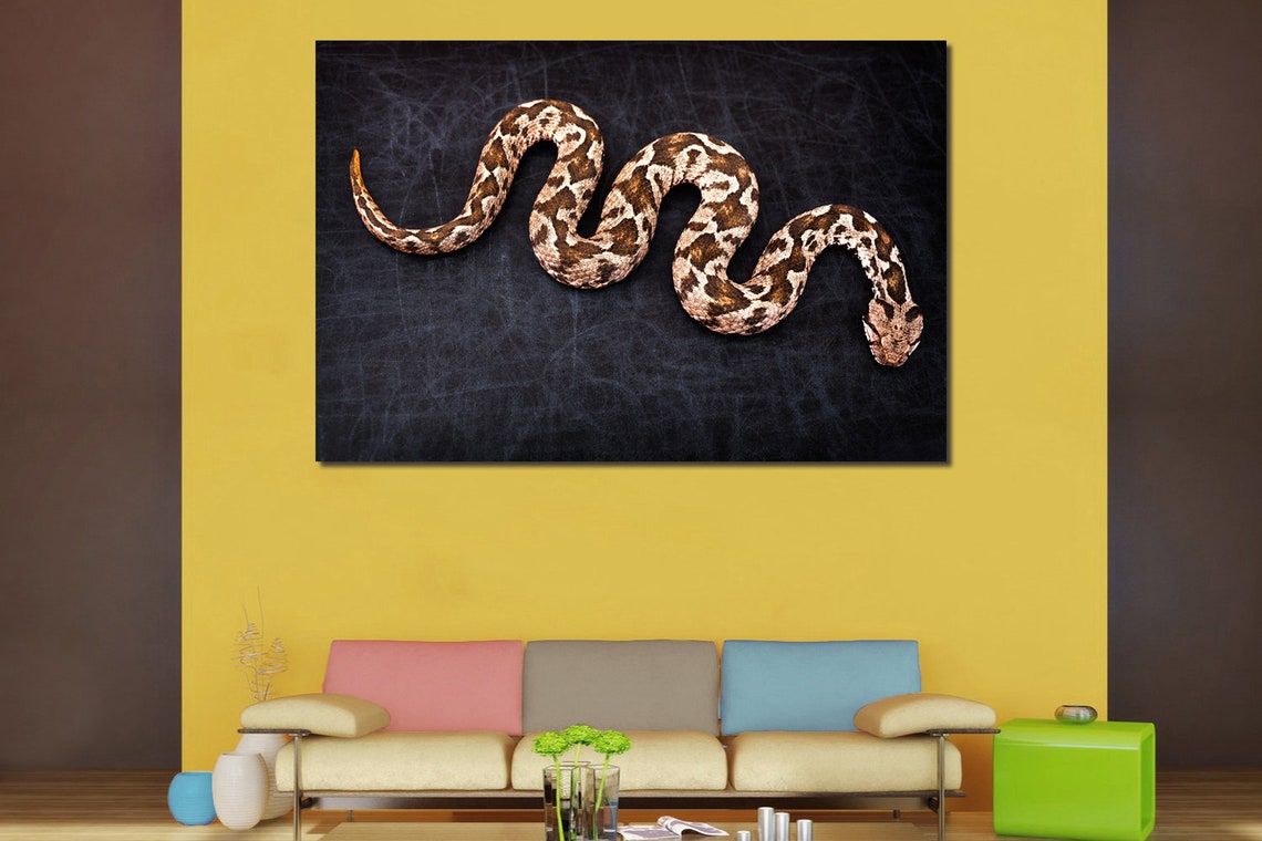 Snake wall art Snake canvas art Snake wall decor Reptiles wall Etsy