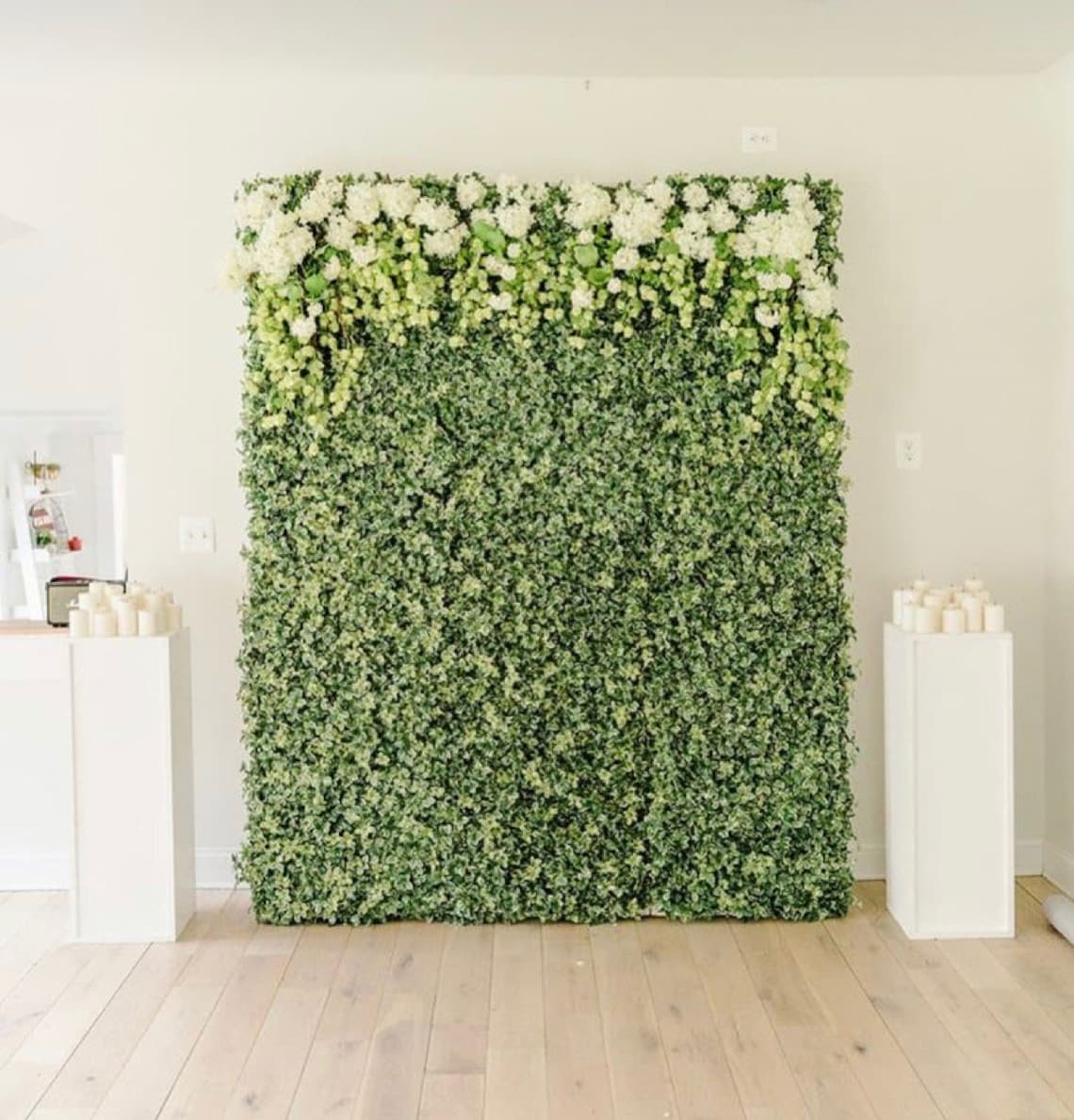 Greenery Wall Backdrop RENTAL ONLY Ventura County Backdrop Etsy