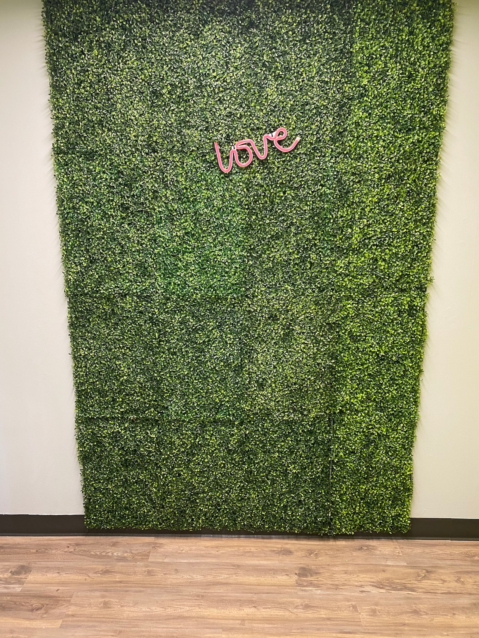 Greenery Wall Backdrop RENTAL ONLY Ventura County Backdrop Etsy