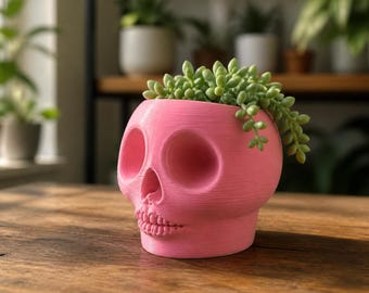 Muck Skull Übertopf