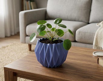 Moderner geometrischer Blumentopf