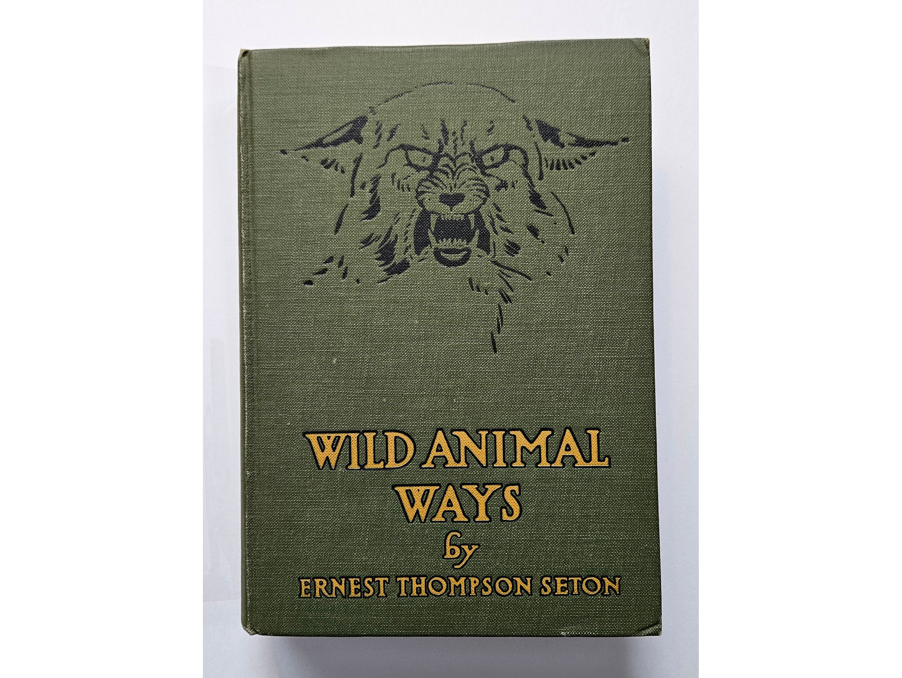 ロジァンコフスキー絵本ー「WILD  ANMALS  AT 」1935年 ロジァンコフスキー絵本ー「WILD ANMALS AT 」1935年 WILD ANIMAL WAYS