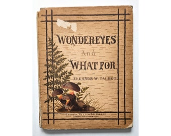 WONDER-EYES and WHAT-For by Eleanor W Talbot 1880