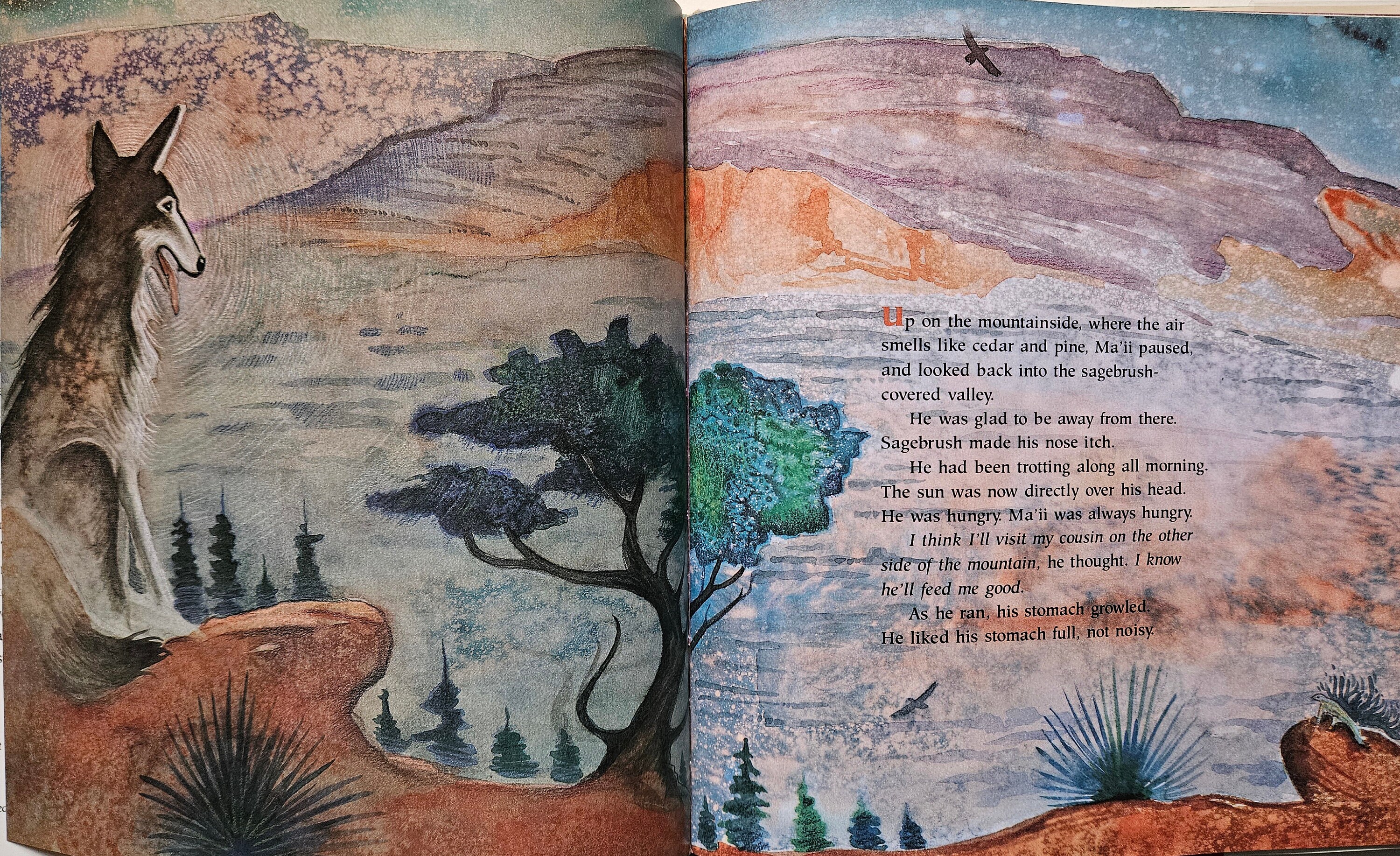 MA'II and Cousin HORNED Toad 1st Ed 1992 - Etsy