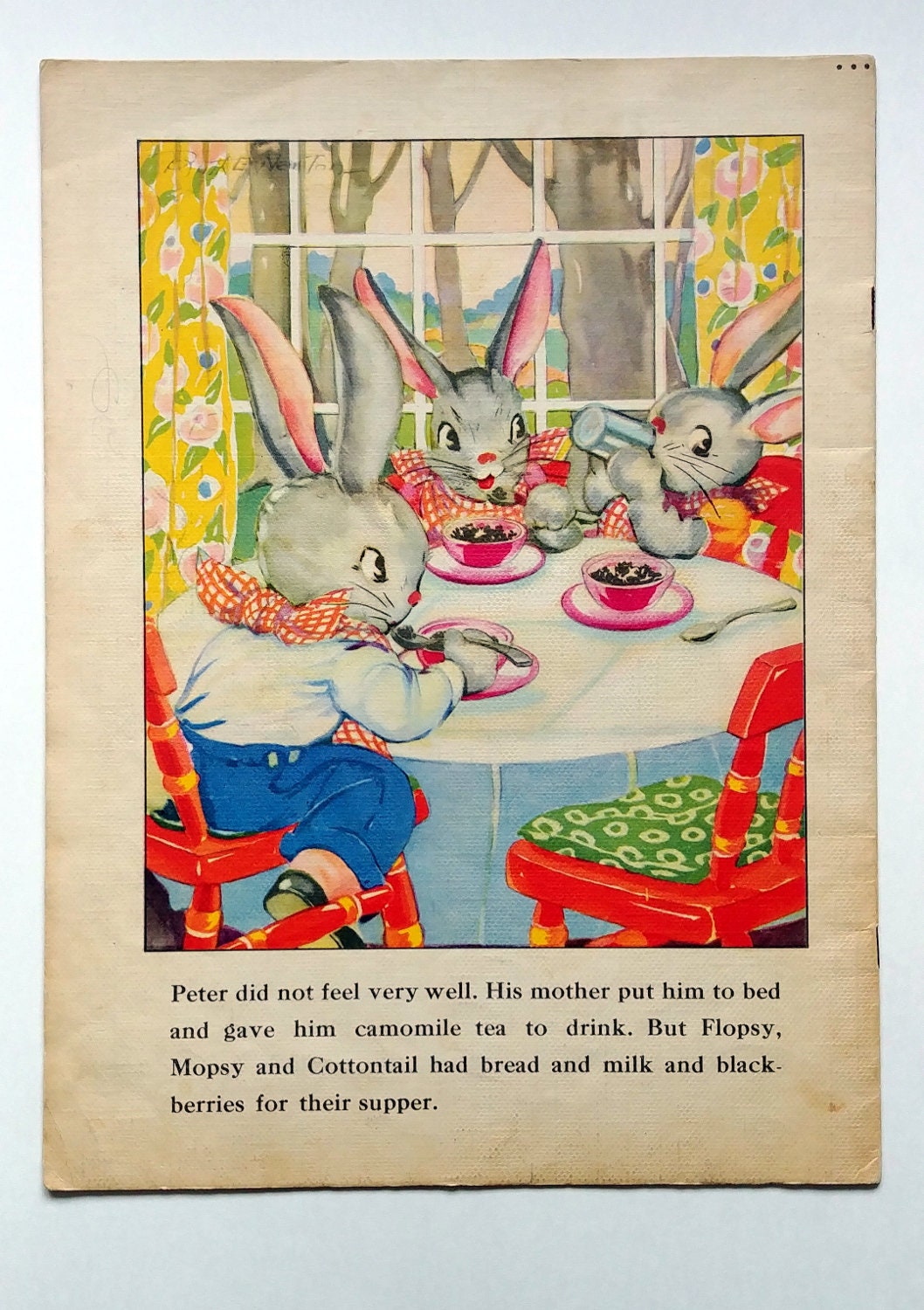 Beatrix Potter Interest, Ruth Newton PETER RABBIT 1948 - Etsy