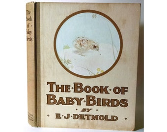 BOOK Of BABY BIRDS, circa 1912, hard cover in dust jacket, 19 color plates, rare in dust jacket