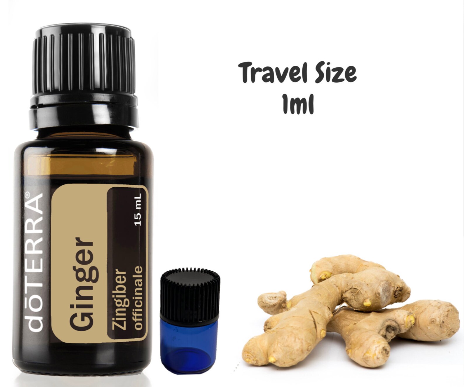 DoTERRA Ginger Essential Oil 1ml Bottle Sample Size Etsy