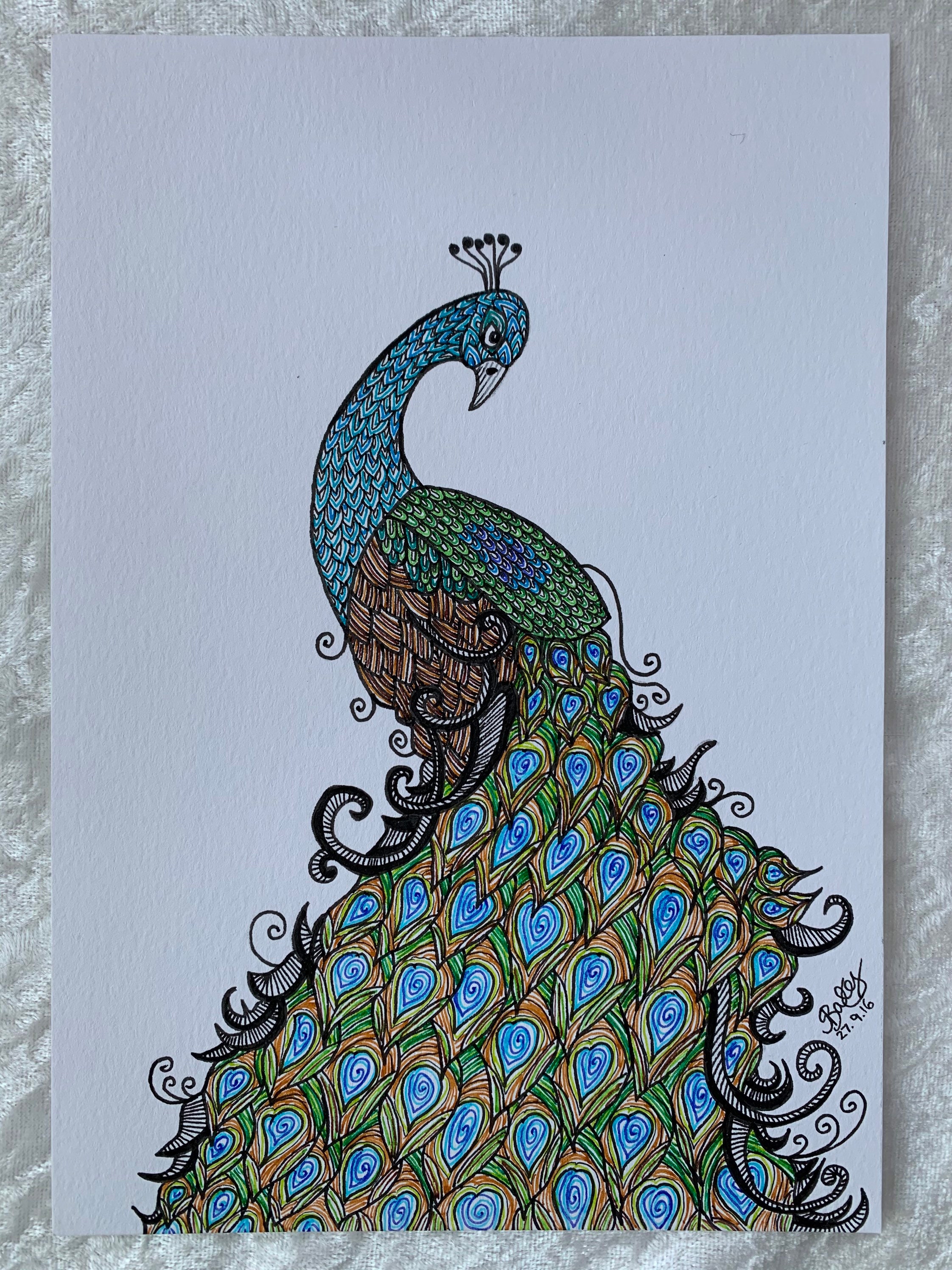 A5 Peacock Original Pen and Ink Drawing, Unframed Animal