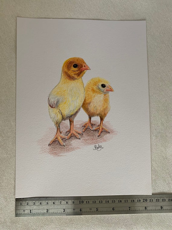 dibujos-de-aves-a-l-piz-de-color