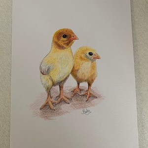 A4 Chick Original Coloured Pencil Drawing, Farm Animal Artwork, Bird Lover Gift Idea, Chicken Lover Artwork, Fast Free Shipping image 3