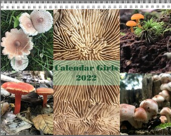 Calendário Meninas 2022 Calendário Cogumelo