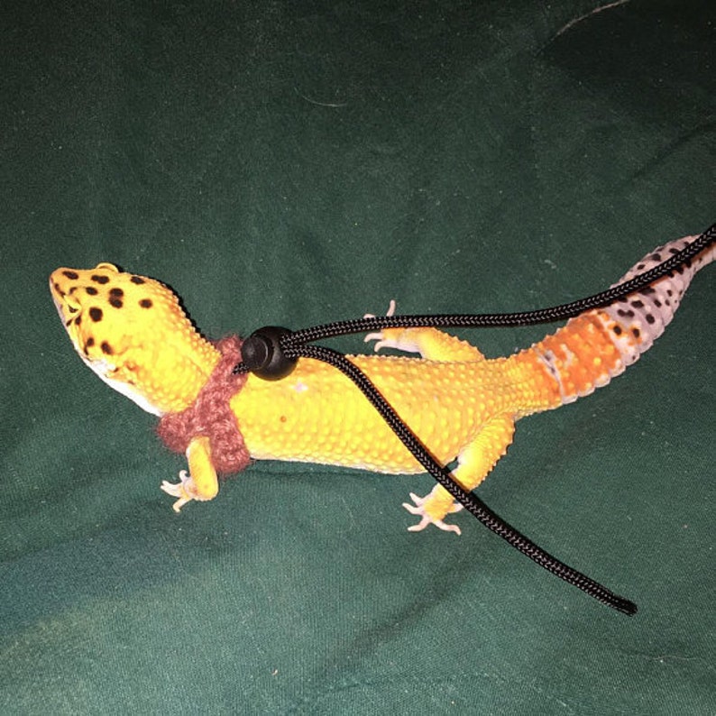 Leopard Gecko Small Lizard Harness Etsy