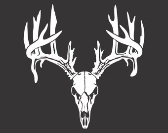 May include: A white deer skull with large antlers. The skull is facing forward and the antlers are spread out to the sides.