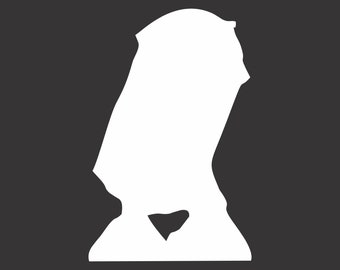 May include: A white silhouette of a person wearing a hooded garment. The hood is pulled up over the head, covering the face. The person is standing with their arms at their sides.