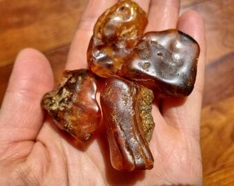 19 grams Vintage Baltic Amber, Natural Rich Golden Honey Polish Cognac Amber beads, 4 Large stones - Or choose 25 grams random Lot