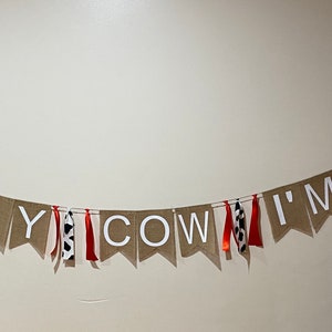 Holy Cow I’m One Birthday Party Banner red and cow  print birthday party banner