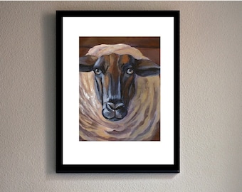 Barn Sheep, Fine Art Print