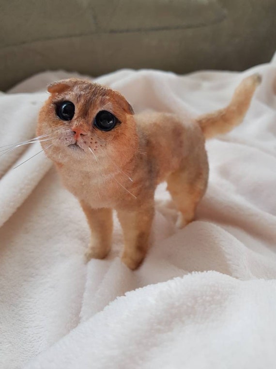 British Shorthair Chinchilla Cat Arttoy Artdoll Ooak Realistic Etsy