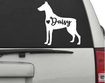 May include: A white silhouette of a Doberman Pinscher dog with a heart and the name "Daisy" in black text on a silver car's rear window.