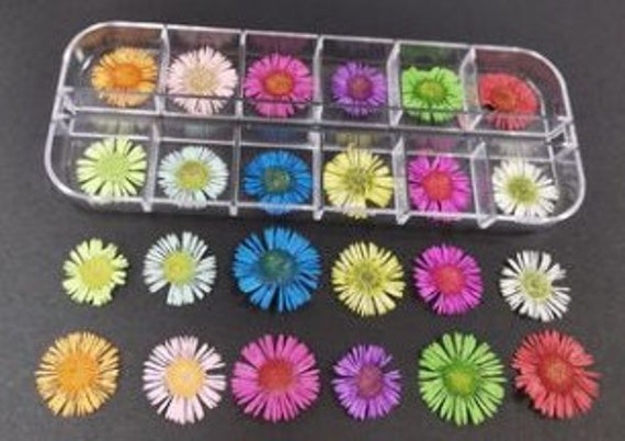 Box they're not fake flowers Bulk Random Mystery Assorted Dried Flowers