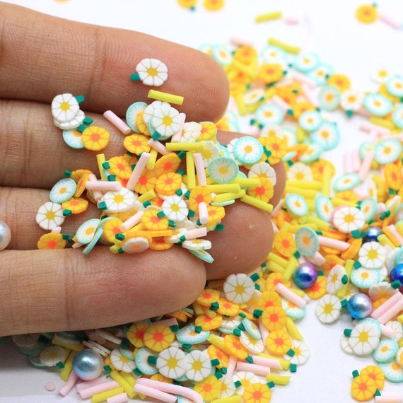 Daisy Sprinkles Daisy Sprinkles