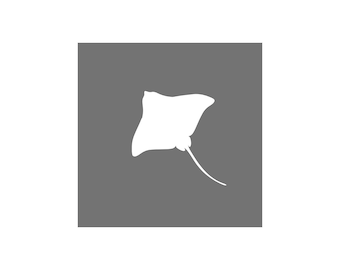 Stingray Stencil - Wiederverwendbare Mylar Schablone für Basteln, Wände, Möbel & DIY Projekte - Mehrzweck Schablone