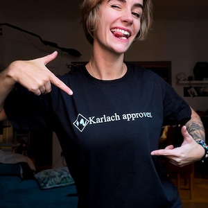 Baldurs Gate 3 - companion dis/approves t-shirt: Astarion, Bloodless, Bhaal's, Wyll, Shadowheart, Karlach, Halsin, Lae'zel, Gale, Scratch