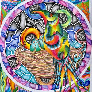 Parrotdice