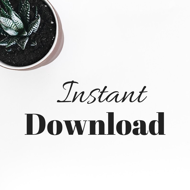 Pu&ograve; includere: Sfondo bianco con il testo "Download immediato" in nero. Una piccola pianta grassa in vaso si trova nell'angolo in alto a sinistra dell'immagine.