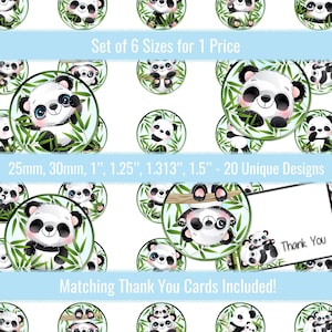 May include: Set of 20 unique panda designs in 6 sizes: 1 inch, 1.25 inches, 1.313 inches, 1.5 inches, 25 mm, and 30 mm.  The designs feature pandas in a bamboo forest. Matching thank you cards are included.